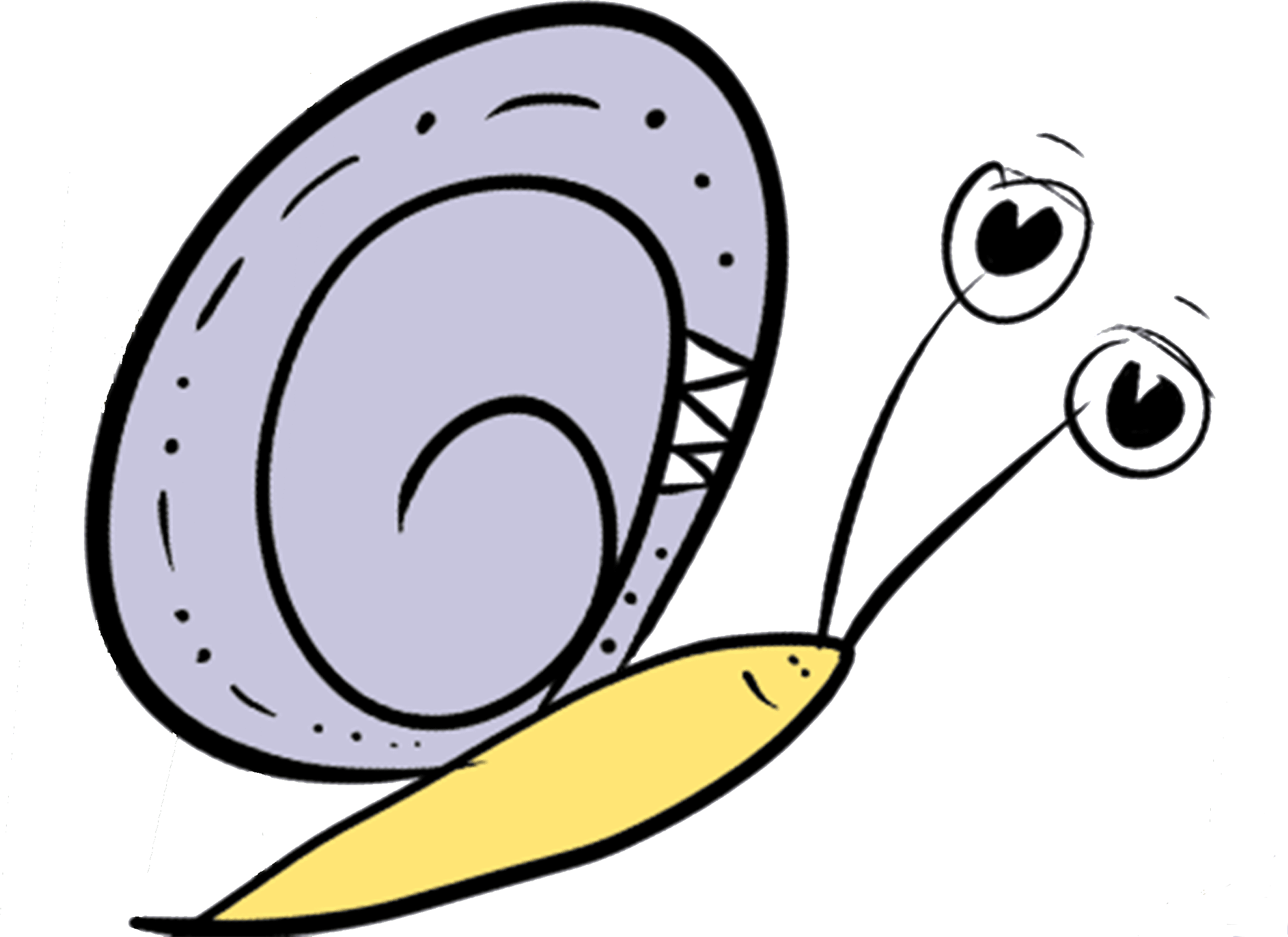 5 Fascinating Snail Facts Snail & Butterfly Children's Book